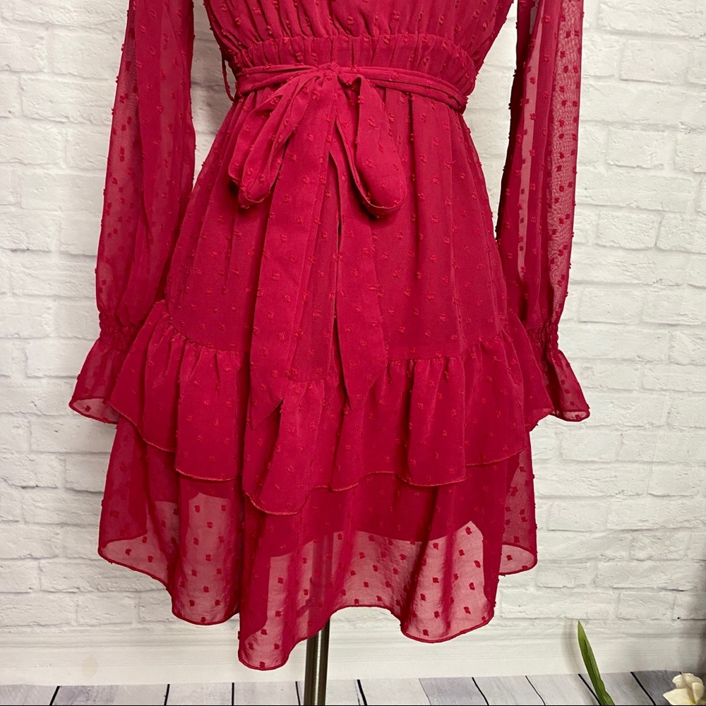 Swiss Dot Dress - image 4